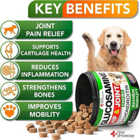 HKM-3304893 Dog Hip and Joint Supplement Chews with Glucosamine and Chondroitin - 240 Count