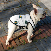 HKM-3305405 Lightweight Cotton Summer Pet Dog Vest in Strawberry and Chrysanthemum for Small to Medium Breeds