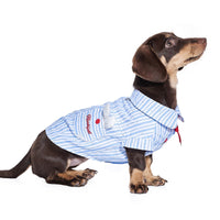 HKM-3310397 Cute Blue Summer Thin Shirt for Schnauzer Pets - Casual Wear