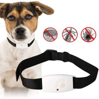 HKM-3312573 Ultrasonic Dog Insect Repeller with Adjustable Modes to Safeguard Pets from Pests