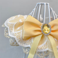 HKM-3317949 Cat and Dog Lace Bib Shooting Prop for Pets - Available in Various Sizes