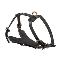 HKM-3319613 Cowhide Leather Dog Chest Harness with Automatic Traction Rope - Sizes for East German Doberman and Casro Dogo