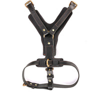 HKM-3319613 Cowhide Leather Dog Chest Harness with Automatic Traction Rope - Sizes for East German Doberman and Casro Dogo