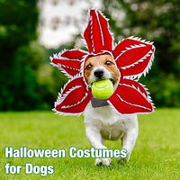 HKM-3329341 Pet Demon Costume Hat for Medium Dogs – Halloween Chomper Headband Cosplay Accessory