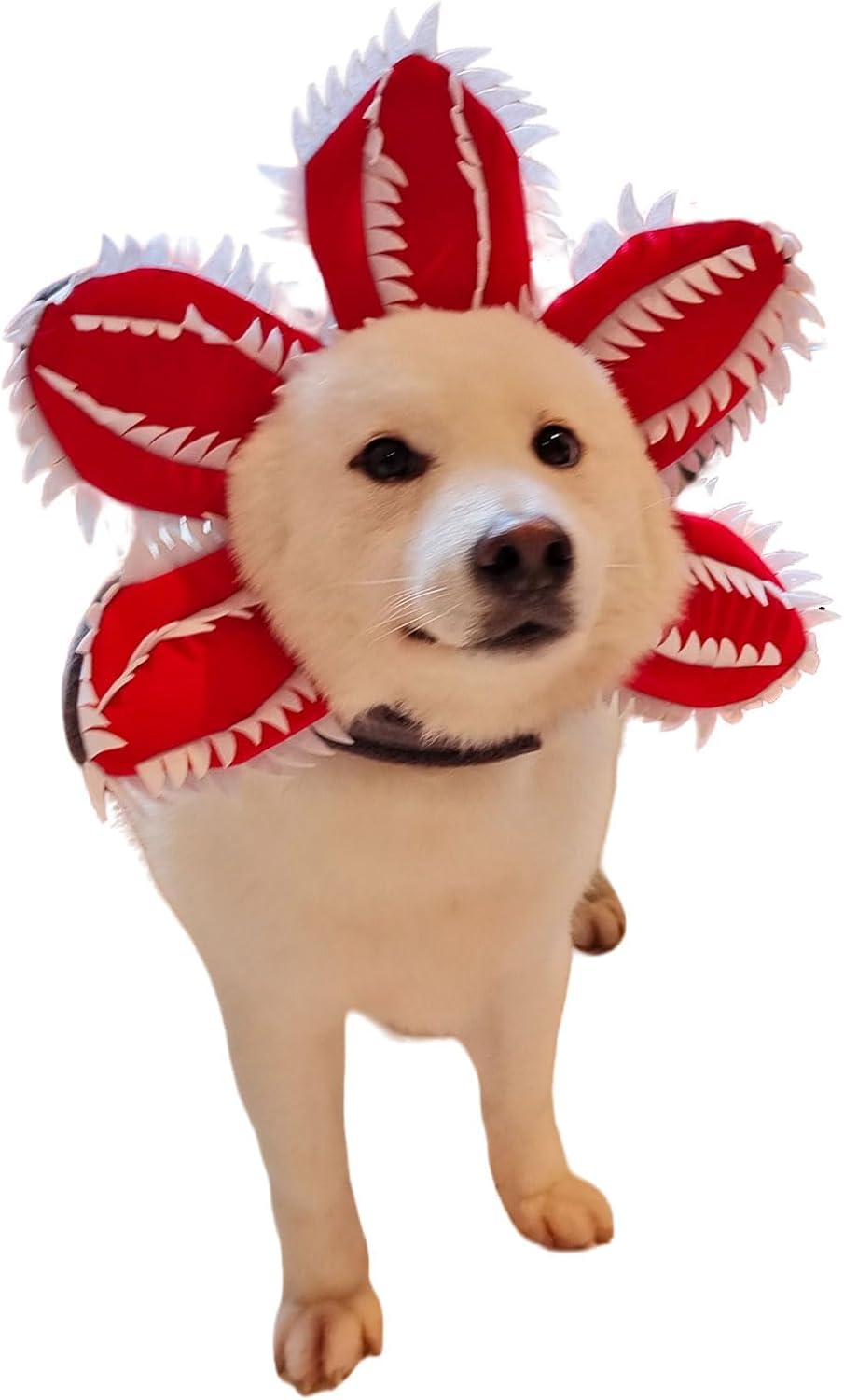 HKM-3329341 Pet Demon Costume Hat for Medium Dogs – Halloween Chomper Headband Cosplay Accessory
