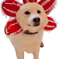 HKM-3329341 Pet Demon Costume Hat for Medium Dogs – Halloween Chomper Headband Cosplay Accessory
