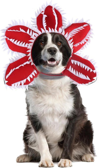 HKM-3329341 Pet Demon Costume Hat for Medium Dogs – Halloween Chomper Headband Cosplay Accessory
