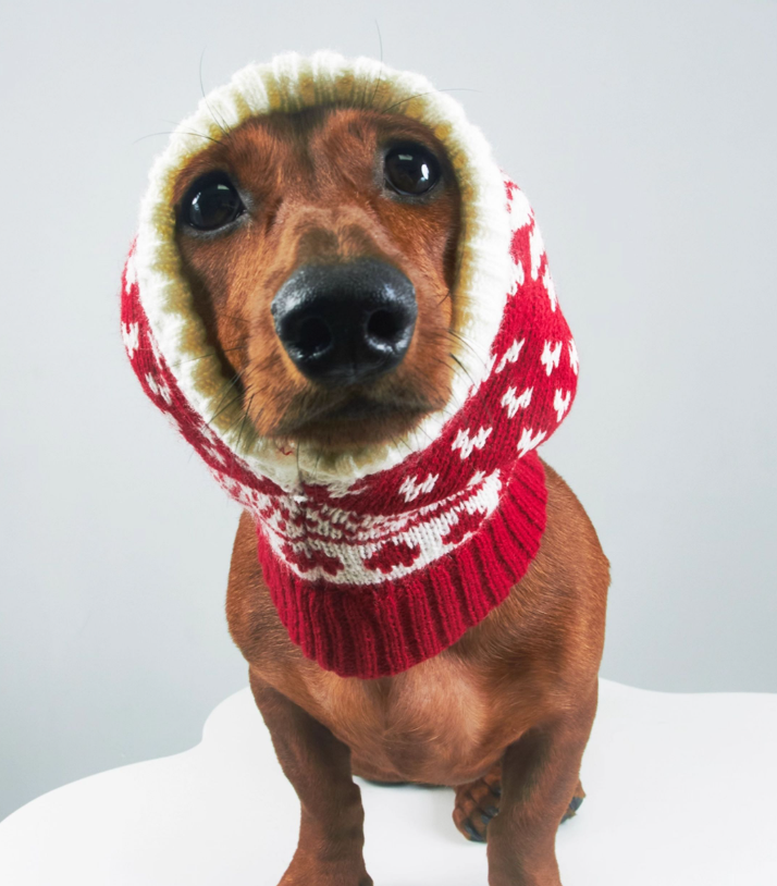 HKM-3330621 Knitted Wool Snowflake Hat for Pets - Warm Winter Casual Style in Various Sizes