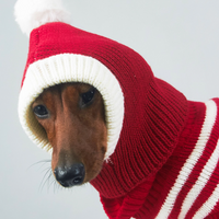 HKM-3330621 Knitted Wool Snowflake Hat for Pets - Warm Winter Casual Style in Various Sizes