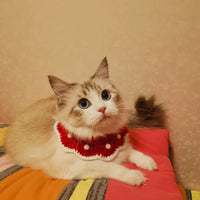 HKM-3333821 Cute Wool Knitted Cartoon Collar for Pets - Custom Size Options Available