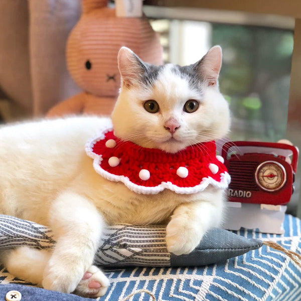 HKM-3333821 Cute Wool Knitted Cartoon Collar for Pets - Custom Size Options Available