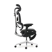 HKM-333523 Ergonomic High Back Mesh Swivel Office Chair with Adjustable Lumbar Support