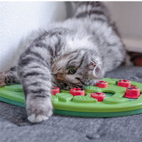 HKM-3335613 Cat Scratch Board with Slow Food Dispenser - Crazy Watermelon, Cloud, Leaf Designs