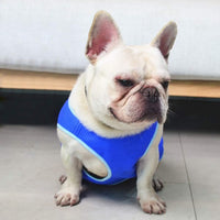 HKM-3335997 Blue Dog Cooling Vest - Sizes XS to L for Optimal Comfort