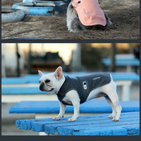 HKM-3336253 Antibacterial Cotton-Padded Dog Coat in Pink and Gray - Reflective, Adjustable Design