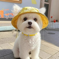 HKM-3336637 Cute Summer Bucket Hat for Pets with Exposed Ears in Color Grid Patterns