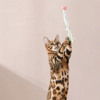 HKM-3338429 Adjustable Feather Teaser Stick with Gravity Bounce and Replaceable Heads for Cats