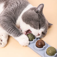HKM-333843 Cat's Molars, Cleaning Teeth, Biting And Digesting Mint Balls