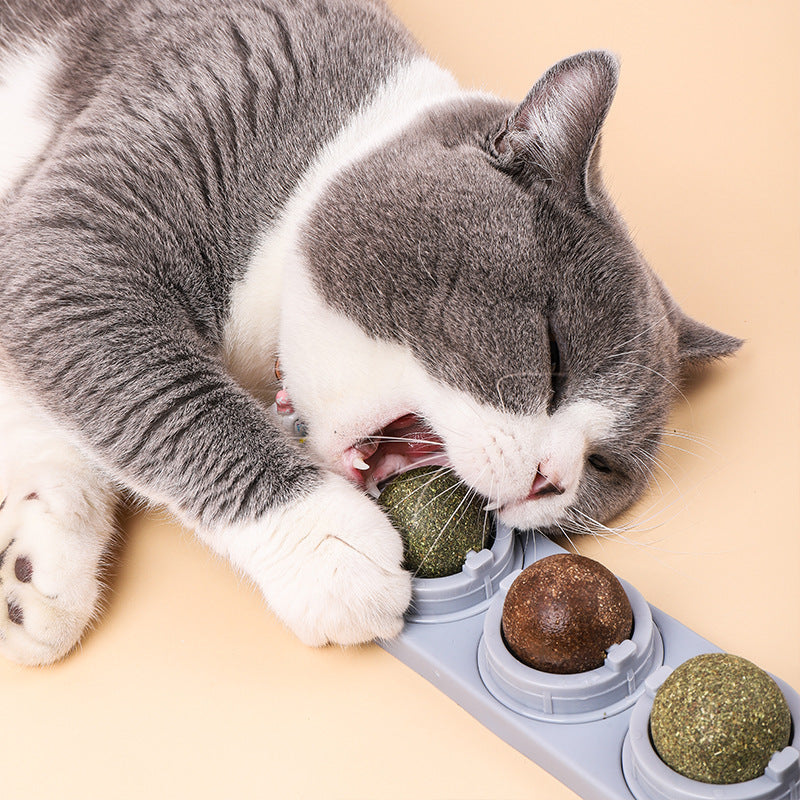 HKM-333843 Cat's Molars, Cleaning Teeth, Biting And Digesting Mint Balls