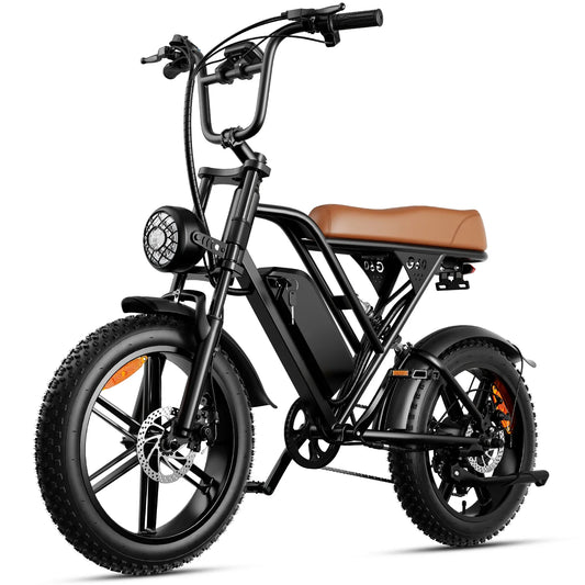 HKM-334163 Electric Bicycle with 25AH Lithium Battery, 48V, 7-Speed, Lightweight Aluminum Frame, 20" Wheels, Hydraulic Disc Brakes, Front Hub Motor