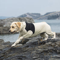 HKM-3343933 Waterproof and Windproof Shell Jacket for Dogs - Available in Yellow, Black, Milky White, Sizes XL to 8XL