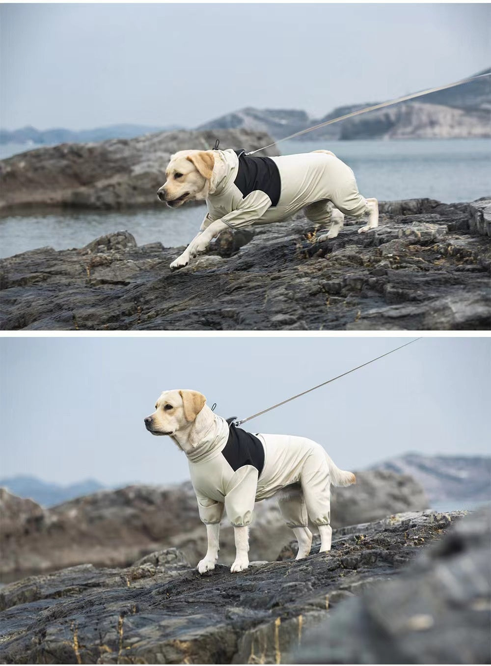 HKM-3343933 Waterproof and Windproof Shell Jacket for Dogs - Available in Yellow, Black, Milky White, Sizes XL to 8XL
