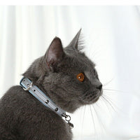 HKM-3345341 Stylish Anti-Bite Dog Collar for Medium Neck Sizes in Comfortable PU Material - Available in Blue, Black, Brown, and Apricot