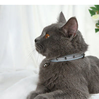 HKM-3345341 Stylish Anti-Bite Dog Collar for Medium Neck Sizes in Comfortable PU Material - Available in Blue, Black, Brown, and Apricot