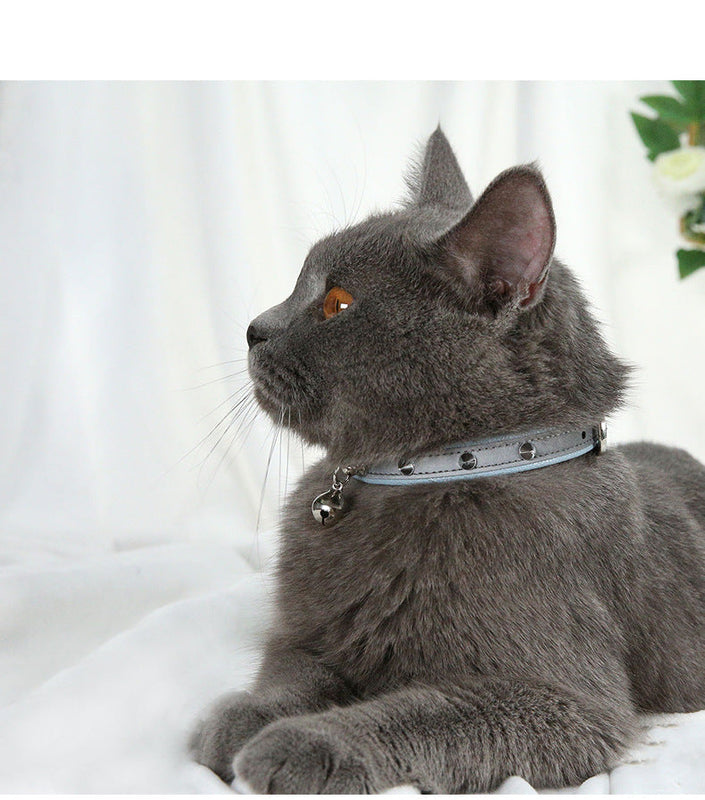 HKM-3345341 Stylish Anti-Bite Dog Collar for Medium Neck Sizes in Comfortable PU Material - Available in Blue, Black, Brown, and Apricot
