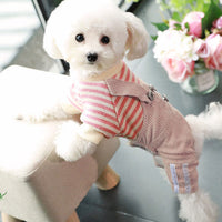 HKM-3347901 Khaki and Wine Red Striped Corduroy Four-Legged Dog Outfit for Autumn and Winter