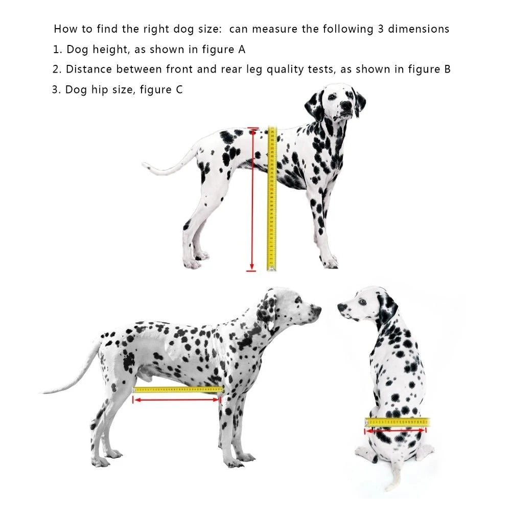 HKM-3350589 Adjustable Dog Wheelchair for Small Breeds - Perfect Support for Mobility Issues