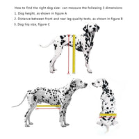 HKM-3350589 Adjustable Dog Wheelchair for Small Breeds - Perfect Support for Mobility Issues