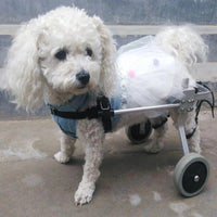 HKM-3350589 Adjustable Dog Wheelchair for Small Breeds - Perfect Support for Mobility Issues