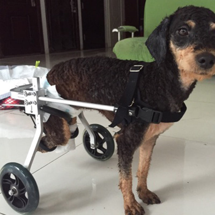 HKM-3350589 Adjustable Dog Wheelchair for Small Breeds - Perfect Support for Mobility Issues