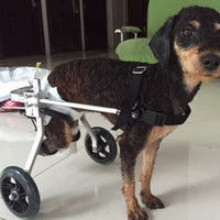 HKM-3350589 Adjustable Dog Wheelchair for Small Breeds - Perfect Support for Mobility Issues