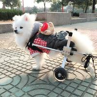 HKM-3350589 Adjustable Dog Wheelchair for Small Breeds - Perfect Support for Mobility Issues