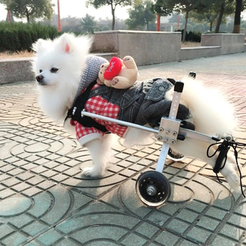 HKM-3350589 Adjustable Dog Wheelchair for Small Breeds - Perfect Support for Mobility Issues