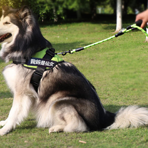 HKM-3352381 Reflective Nylon Woven Double Handle Dog Leash in Multiple Colors
