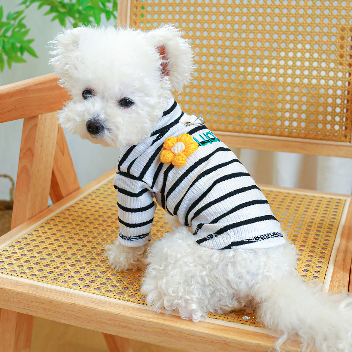 HKM-3353661 Cozy Fall and Winter Dog Clothing - Cute Tops and Undershirts in Various Colors and Styles