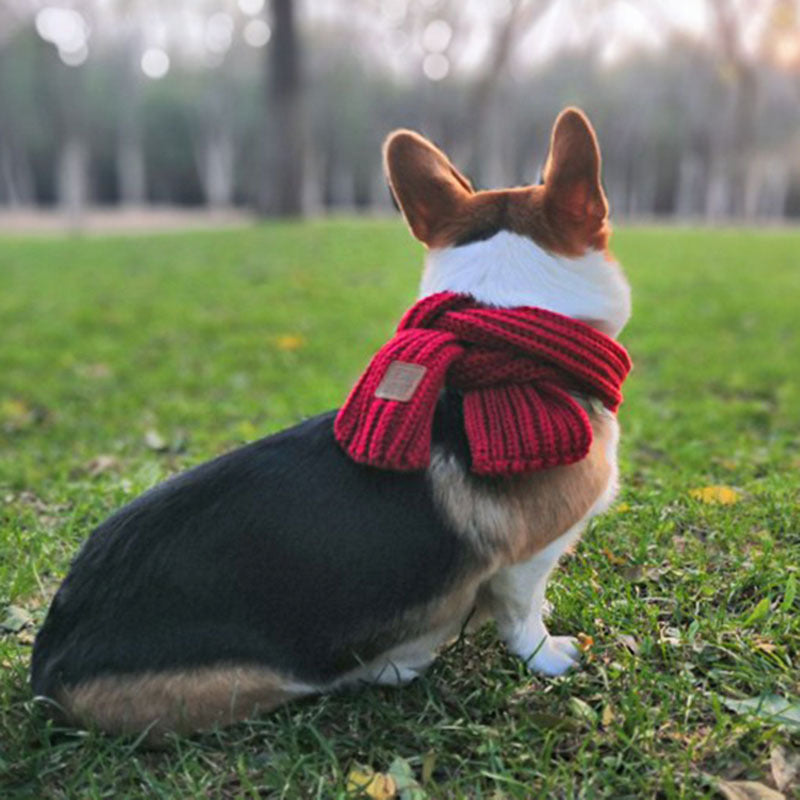 HKM-3355453 Colorful Wool Cartoon Dog Scarf for Stylish Pets - 120CM x 8CM