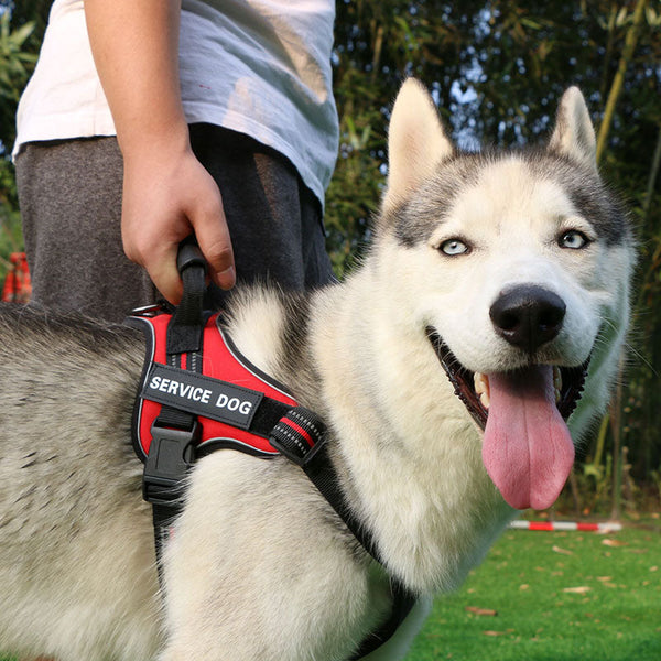 HKM-3358141 Adjustable Chest Strap Vest for Medium to Large Dogs - Sky Blue, Dark Blue, Red, Brown