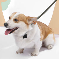 HKM-3358653 Nylon Woven Round P-Chain Leash for Large, Medium, and Small Dogs - 1.7M Length