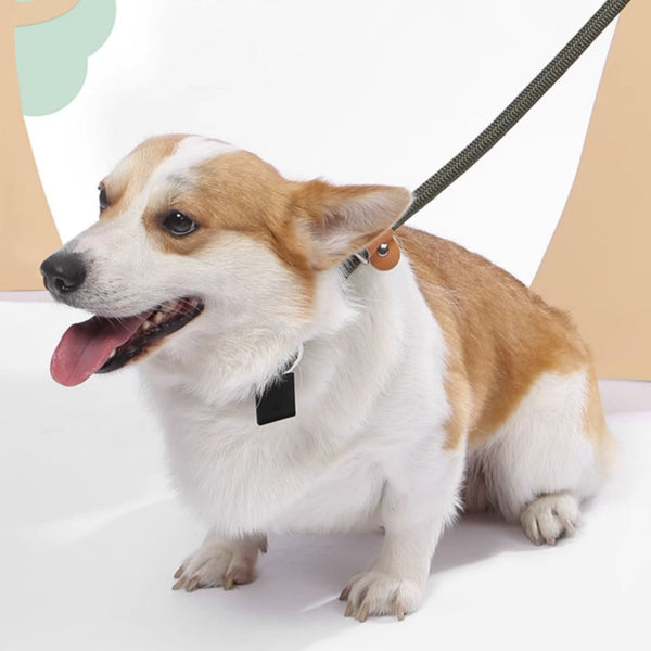 HKM-3358653 Nylon Woven Round P-Chain Leash for Large, Medium, and Small Dogs - 1.7M Length