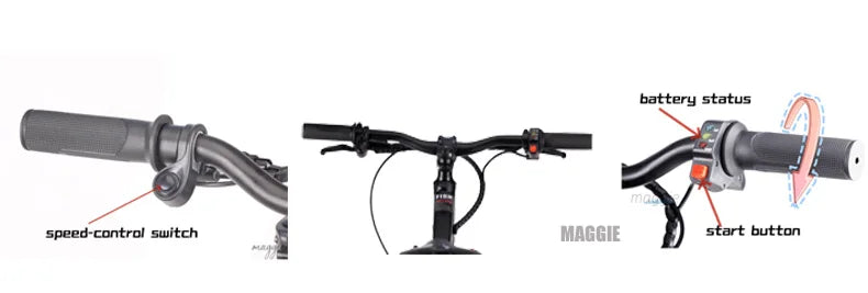 HKM-335955 20-Inch Electric Balance Bike for Kids and Adults with 36V 600W Motor, 20-30 km Range, Max Speed 40 km/h