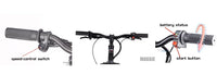 HKM-335955 20-Inch Electric Balance Bike for Kids and Adults with 36V 600W Motor, 20-30 km Range, Max Speed 40 km/h