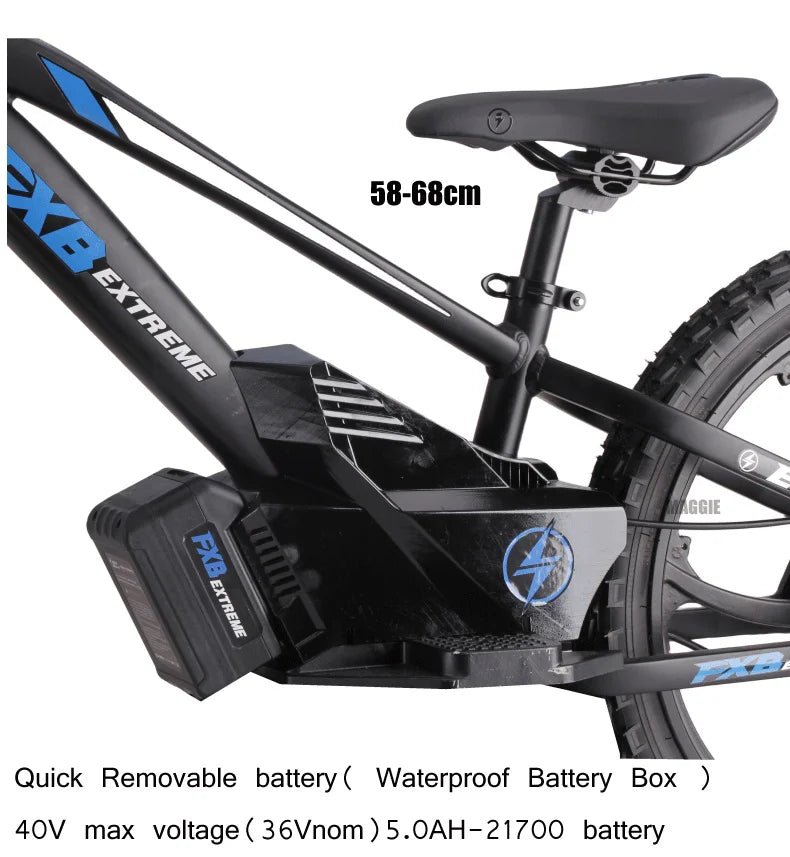 HKM-335955 20-Inch Electric Balance Bike for Kids and Adults with 36V 600W Motor, 20-30 km Range, Max Speed 40 km/h