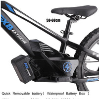 HKM-335955 20-Inch Electric Balance Bike for Kids and Adults with 36V 600W Motor, 20-30 km Range, Max Speed 40 km/h