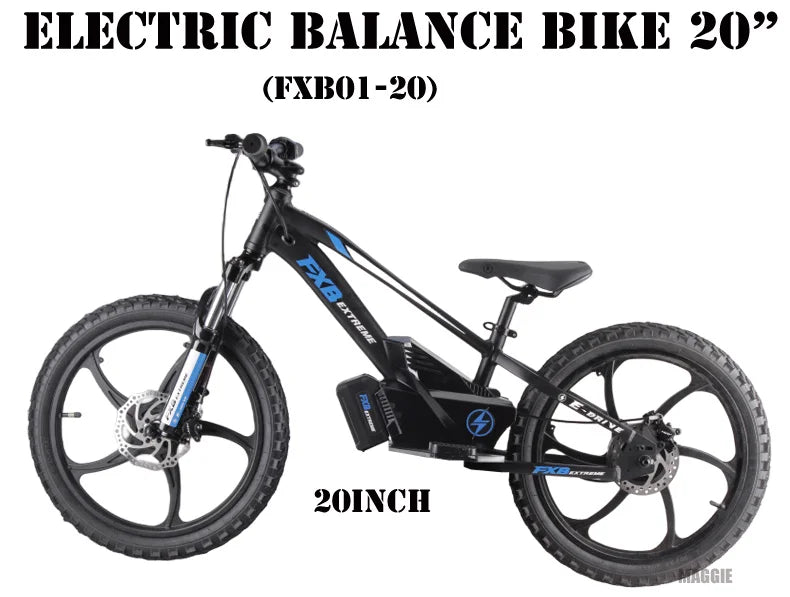 HKM-335955 20-Inch Electric Balance Bike for Kids and Adults with 36V 600W Motor, 20-30 km Range, Max Speed 40 km/h