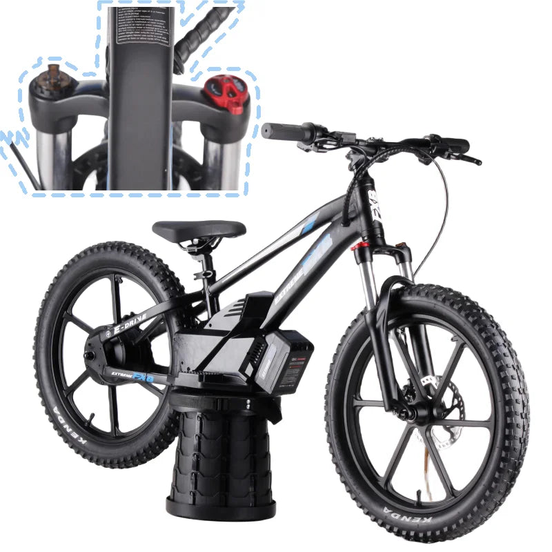 HKM-335955 20-Inch Electric Balance Bike for Kids and Adults with 36V 600W Motor, 20-30 km Range, Max Speed 40 km/h