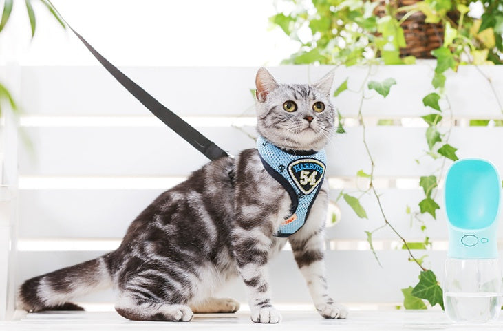 HKM-3360317 Durable Nylon Pet Sling with Adjustable Reflective Collar and Traction Rope